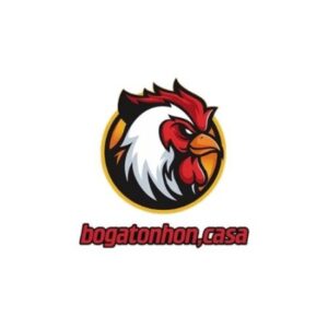Foto de perfil de Bồ Gà Tonhon