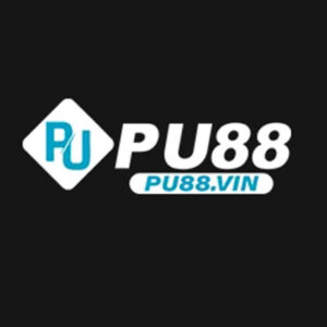 Foto de perfil de pu88