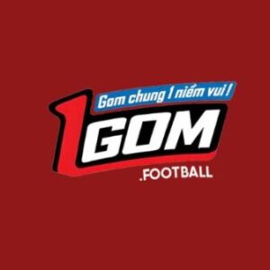 Foto de perfil de 1Gom