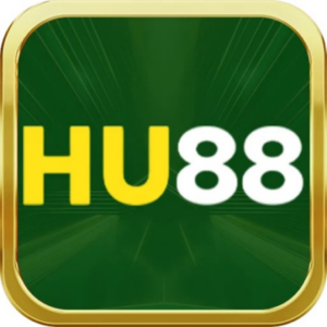 Foto de perfil de hu88