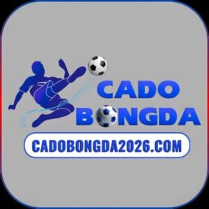Foto de perfil de Web cá độ bóng đá