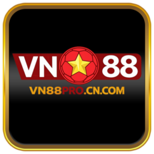 Foto de perfil de VN88