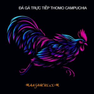 Foto de perfil de ĐÁ GÀ THOMO