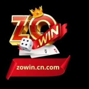 Foto de perfil de ZOWIN CN COM