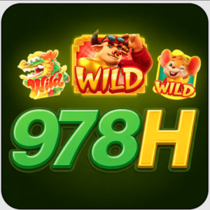 Foto de perfil de 978h