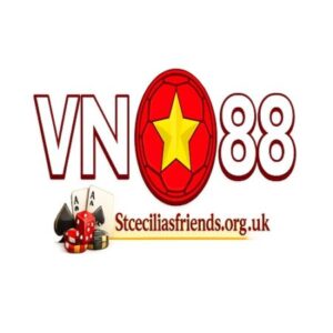 Foto de perfil de VN88