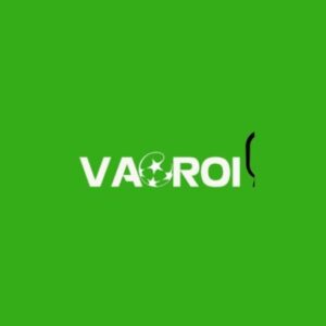 Foto de perfil de VaoroiTV