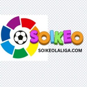 Foto de perfil de https://soikeolaliga.com/