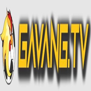 Foto de perfil de GavangTV