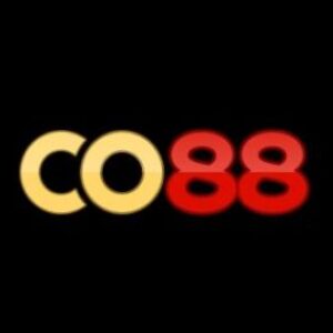Foto de perfil de co88