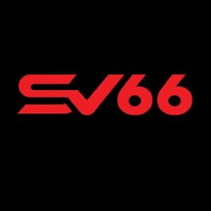 Foto de perfil de SV66