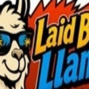 Foto de perfil de Laid Back Llama