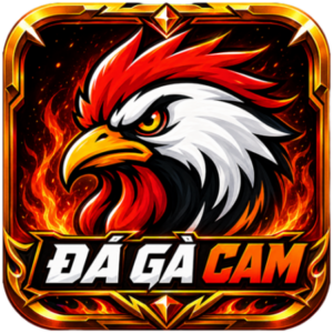 Foto de perfil de ĐÁ GÀ CAM