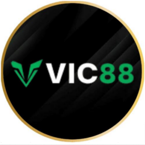 Foto de perfil de vic88