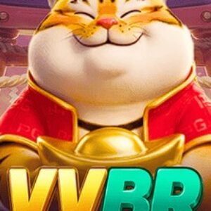 Foto de perfil de vvbr