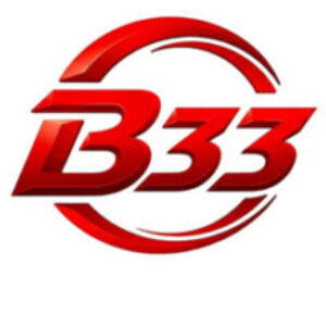 Foto de perfil de B33