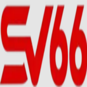 Foto de perfil de sv66