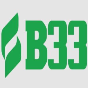 Foto de perfil de b33