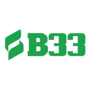 Foto de perfil de b33