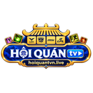 Foto de perfil de Hoiquantvn