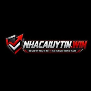 Foto de perfil de Nhacaiuytinwin1vn